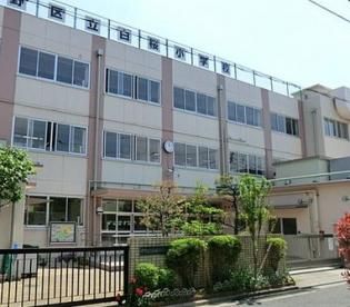 中野区立白桜小学校の画像
