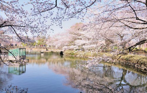 鹿沼公園の画像