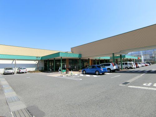TSURUYA(ツルヤ) 須坂西店の画像
