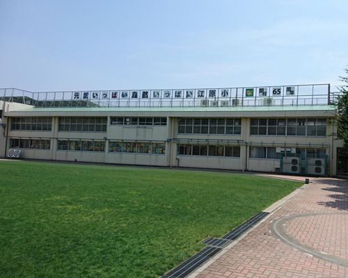 中野区立江原小学校の画像