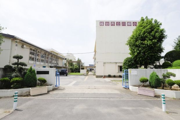 越谷市立川柳小学校の画像