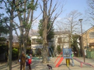 松山公園の画像