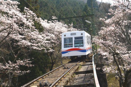 叡山ケーブルの画像