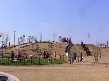 石川河川公園の画像