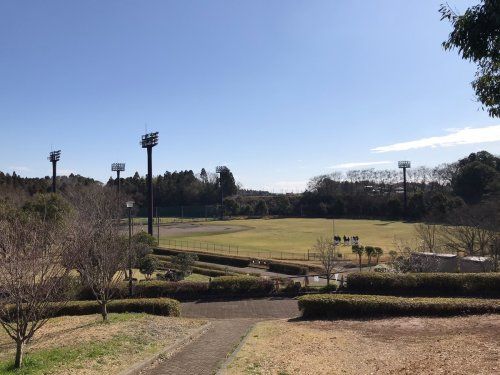 酒々井総合公園の画像