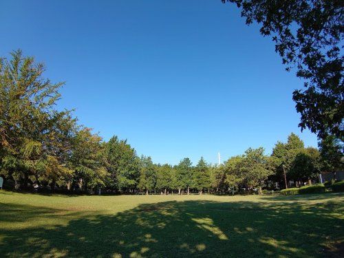 善福寺川緑地 子供の広場の画像