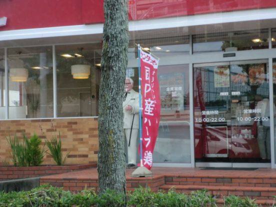 ケンタッキーフライドチキン幸町店の画像