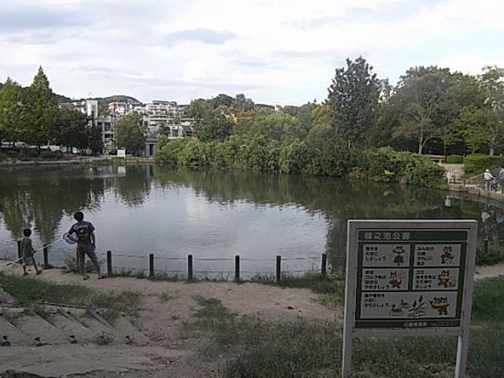 樋之池公園の画像