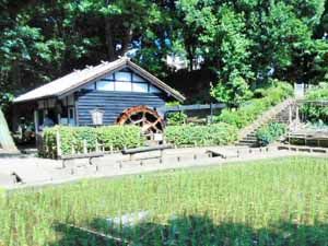 板橋区 水車公園の画像