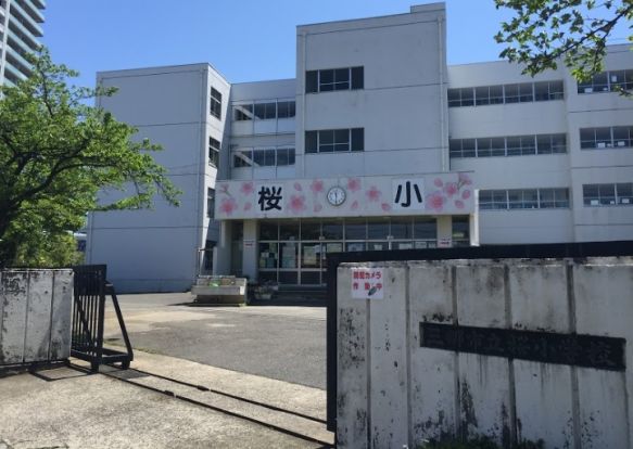 桜小学校の画像