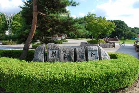 龍神の杜公園の画像