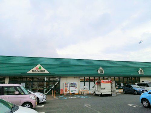 マルエツ綾瀬店の画像