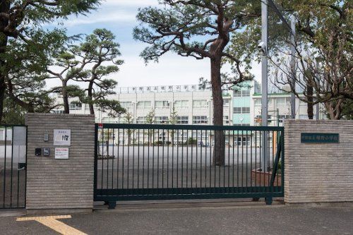 中野区区立緑野小学校の画像