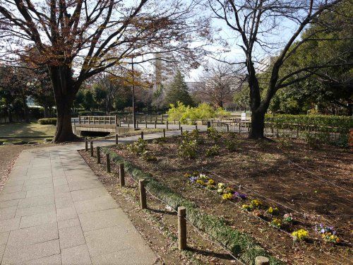 秋の陽公園の画像