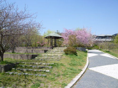 峰ヶ堂第一公園の画像