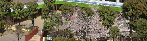 芝園幼稚園の画像