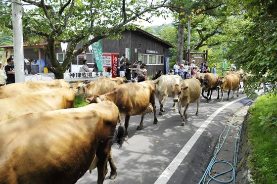 神津牧場の画像