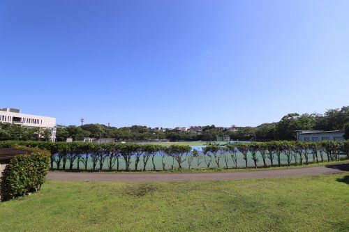 不入斗公園の画像