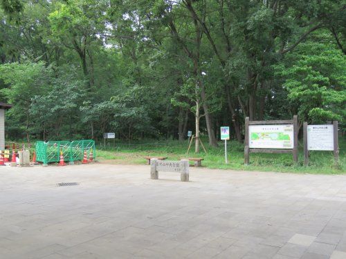 東村山中央公園の画像