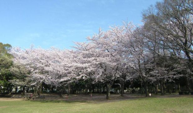 行田市総合公園の画像