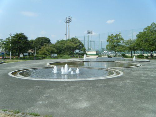中の池公園の画像