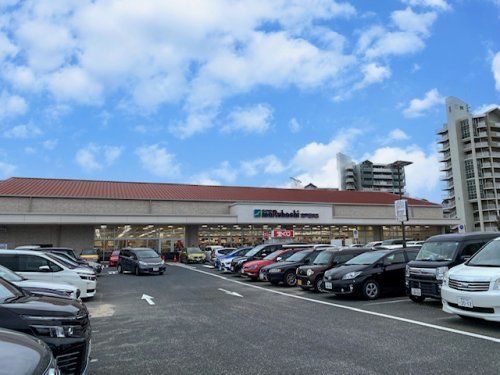 マルハチ 南芦屋浜店の画像