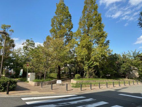 津知公園の画像