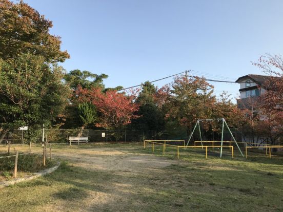 甲南公園の画像