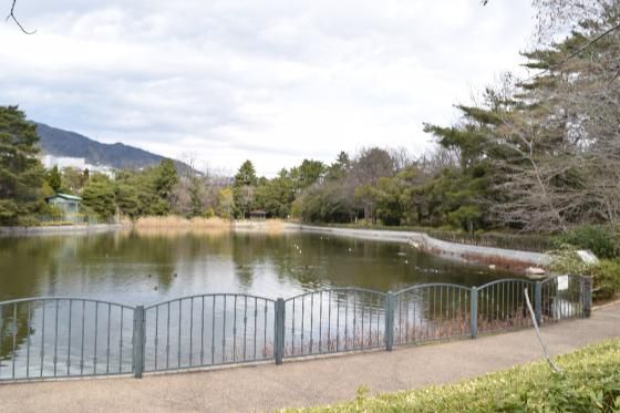 仲ノ池緑地の画像