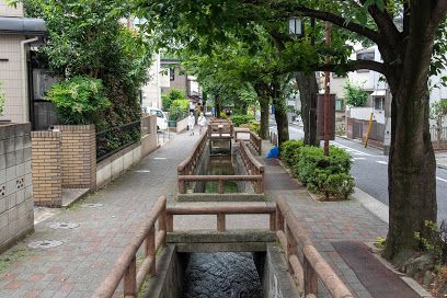 洗足流れ(池上用水)の画像