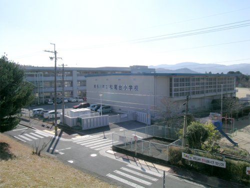 猪名川町立松尾台小学校の画像