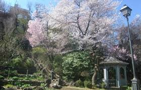 山王花清水公園の画像