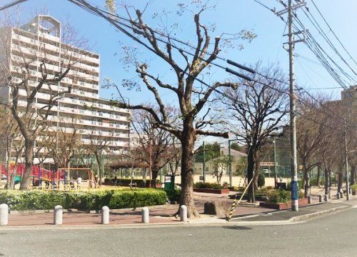 中野南公園の画像