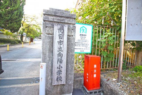 向日市立向陽小学校の画像