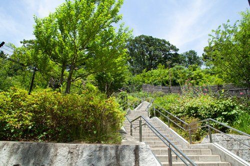 佐伯山緑地の画像