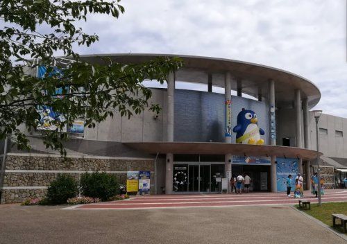 長崎ペンギン水族館の画像