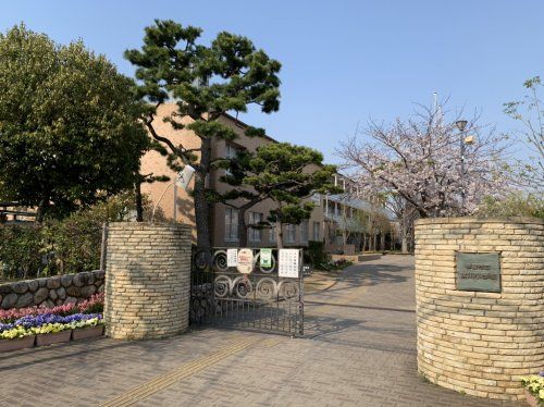 芦屋市立宮川小学校の画像