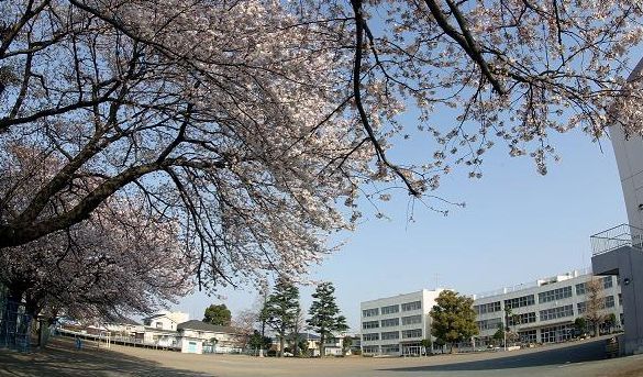 渋谷小学校の画像