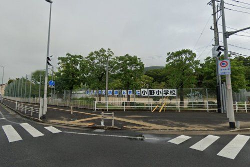 諫早市立小野小学校の画像