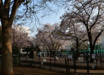 新宿区立落合公園 犬の広場(ドッグラン)の画像