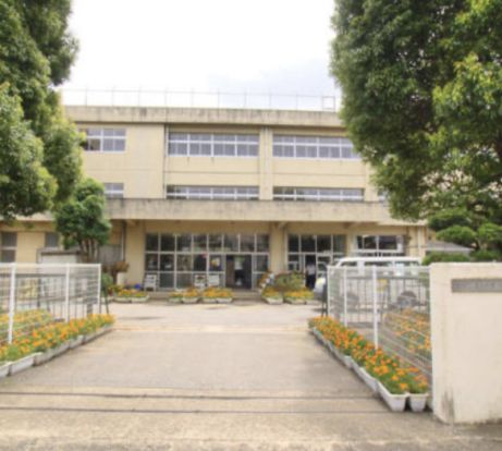 柏市立酒井根小学校の画像