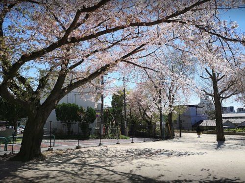 和田さくらの坂公園の画像