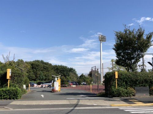 赤羽スポーツの森公園の画像