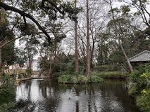 おとめ山公園の画像