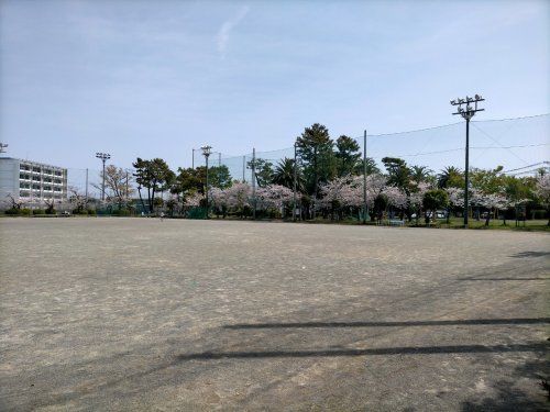 清水桜ヶ丘公園の画像