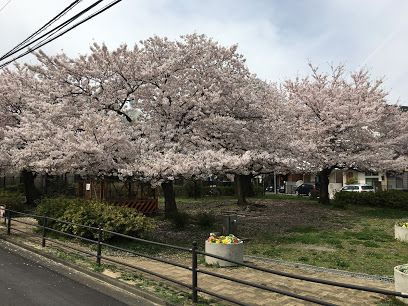 西蒲田一丁目さくら児童公園の画像