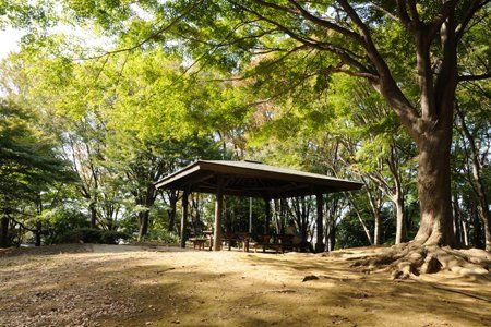 上仲原公園の画像