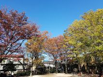 梅里中央公園の画像