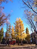 西永福公園の画像