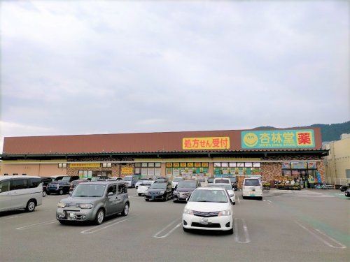 杏林堂薬局 静岡山崎店の画像